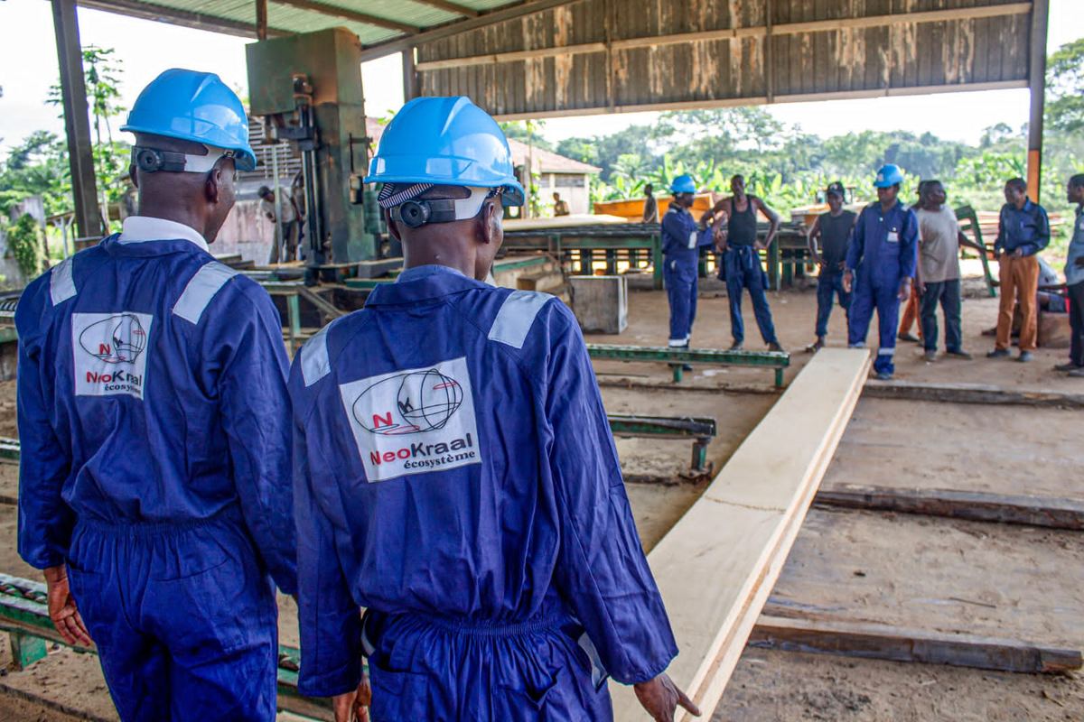 Exploitation de bois — Exploitation et exportation de bois tropicaux à destination de l'industrie.