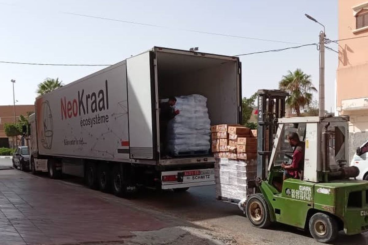 R3 Logistic — Import-export et transport international. Marché de gros et colis pour particuliers.